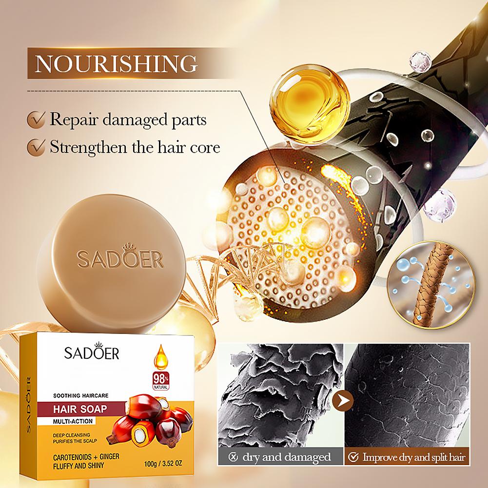 Ingwer-Shampoo-Riegel Natürlic – Bar Soap Shampoo Solid Bewertung und Preis